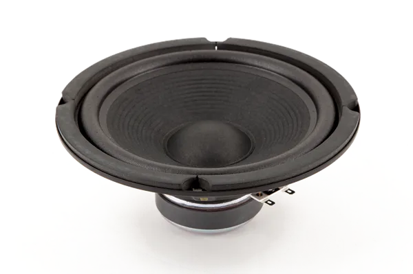 Fender 8", 8 ohm, 75 watt Speaker — Acoustasonic Jr./SFX · Ricambi per amplificatori · R&D Sound Lugano