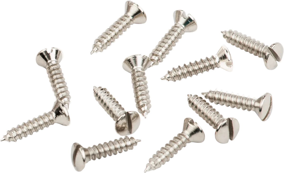 Fender American Vintage '52 Telecaster Pickguard-Control Plate Screws — American Vintage '52 Telecaster Pickguard/Control Plate Screws, 4 x 1/2" Slotted, Nickel (12) · Battipenna · R&D Sound Lugano