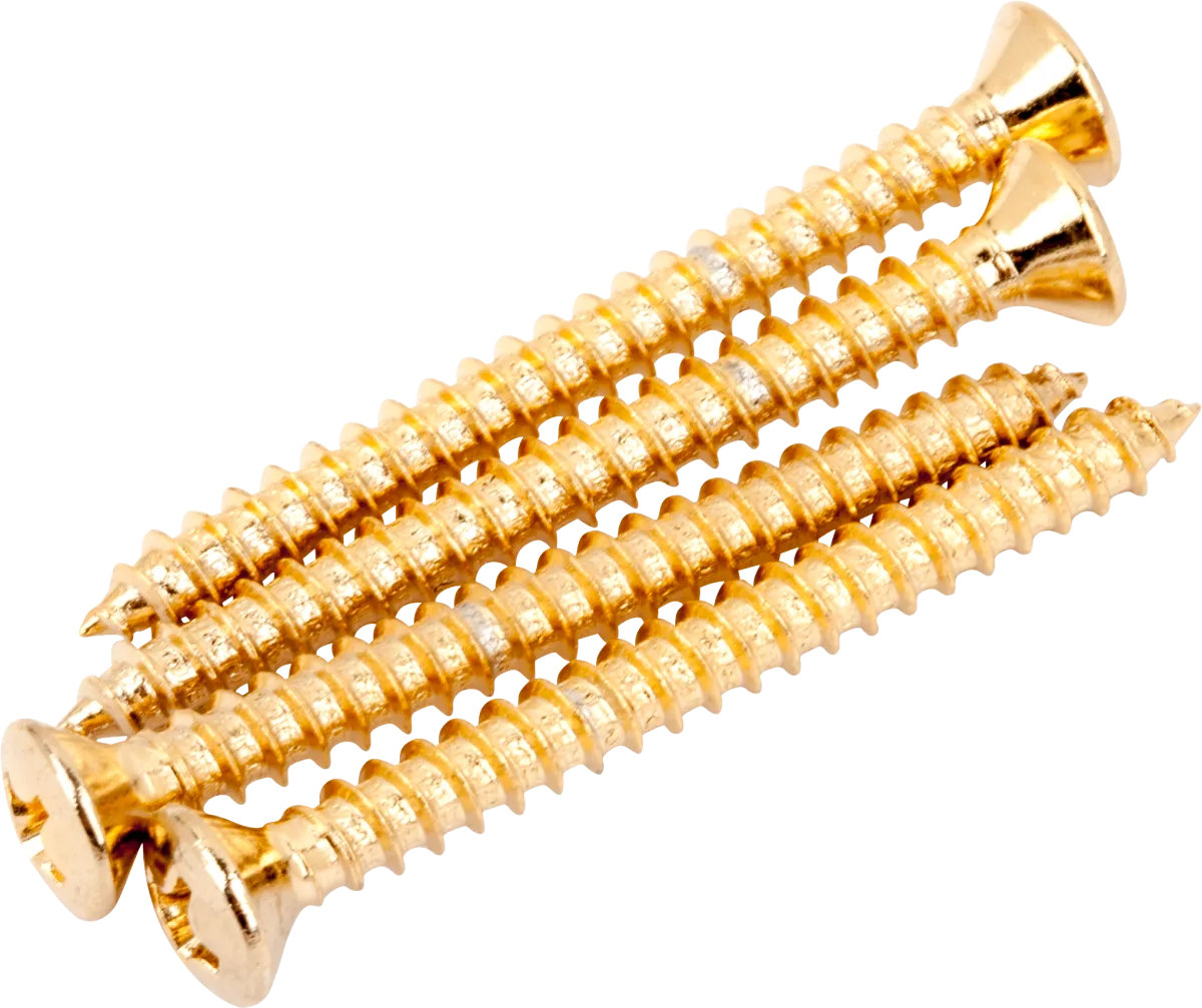Fender Neck Mounting Screws (4) — Neck Mounting Screws, Gold, (4) · Manici · R&D Sound Lugano