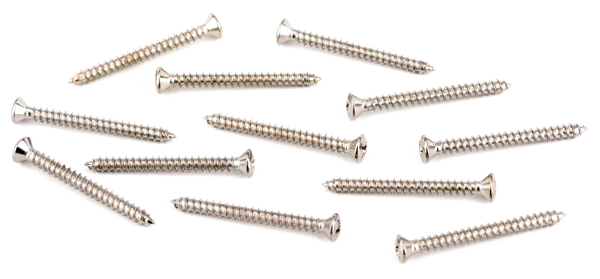 Fender Neck Plate Mounting Screws - American Standard-Deluxe Guitars — Neck Plate Mounting Screws - American Standard/Deluxe Guitars, Sheet Metal (8 X 1-3/4"), Chrome (12) · Manici · R&D Sound Lugano