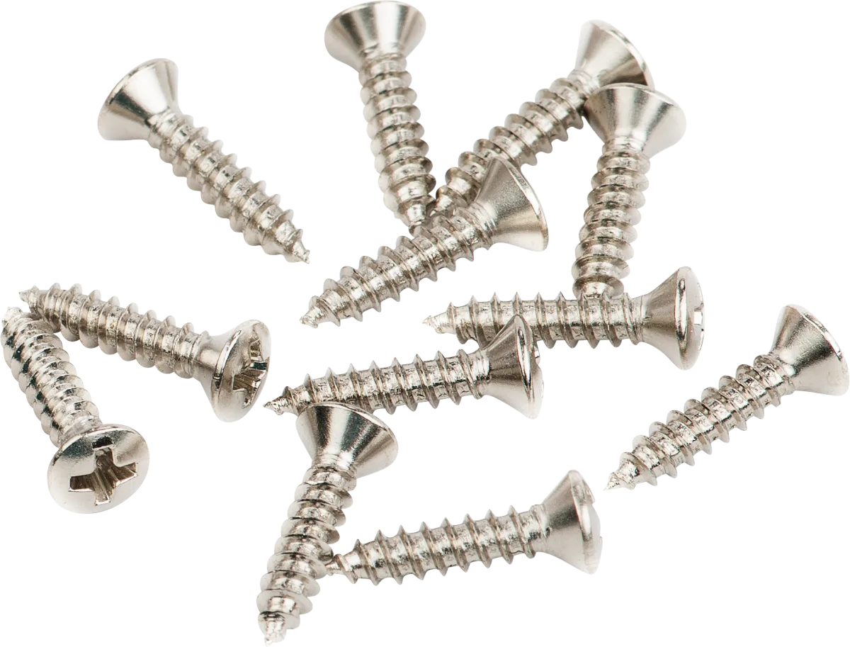 Fender Pickguard-Vintage Bridge Cover Mounting Screws — Pickguard/Vintage Bridge Cover Screws, Sheet Metal, 4 X 1/2", Oval Head (12) · Battipenna · R&D Sound Lugano
