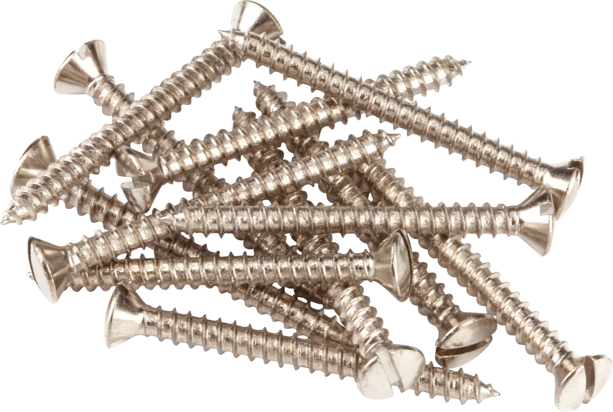 Fender Pure Vintage Slotted Telecaster Neck Mounting Screws — Nickel (12) · Manici · R&D Sound Lugano
