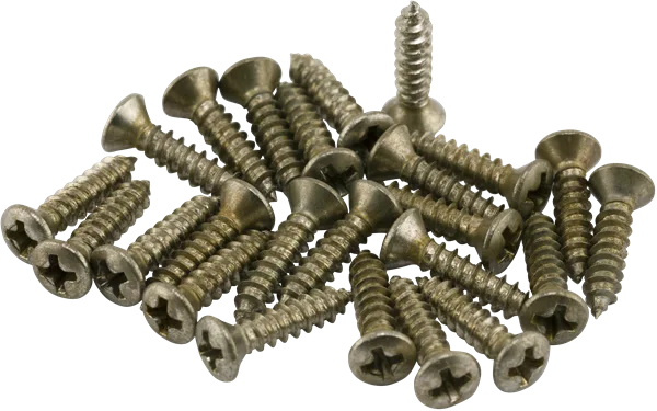 Fender Road Worn Pickguard/Control Plate Screws (24) · Battipenna · R&D Sound Lugano