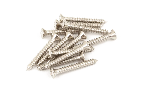 Fender Vintage-Style Bass/Tele Bridge/Strap Button Mounting Screws — Vintage-Style Bass/Telecaster Bridge/Strap Button Mounting Screws (12) (Phillips head) (Nickel) · Ponti e componenti · R&D Sound Lugano